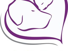 Animus Vet - clinica veterinara