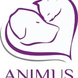 Animus Vet - clinica veterinara